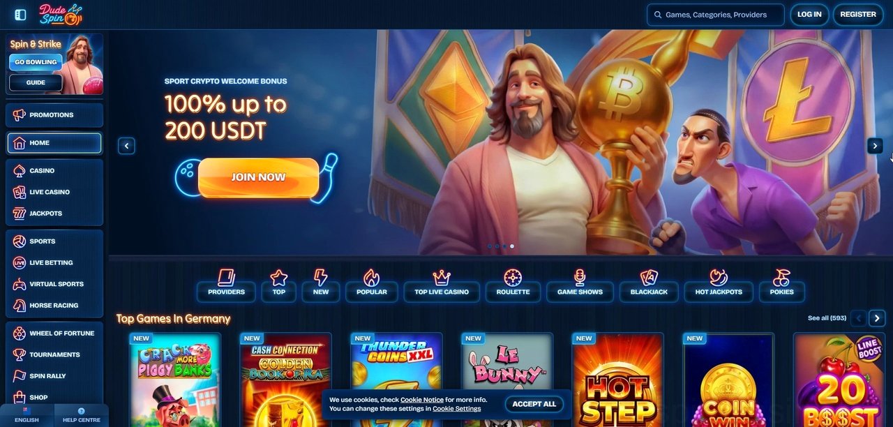 Dudespin Casino Casino